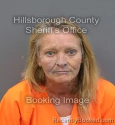 Mugshot of TINA RENEE ELKINS