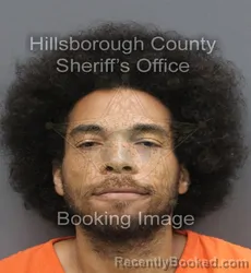 Mugshot of Jonathan Michael Andre booked in Hillsborough County, Florida on August 30, 2026