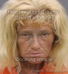 Mugshot of Brenda Jean Allen booked in Hillsborough County, Florida on August 30, 2026