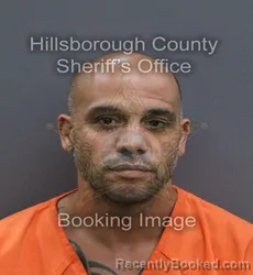 Mugshot of Joseph Anthony Burruezo booked in Hillsborough County, Florida on August 30, 2026