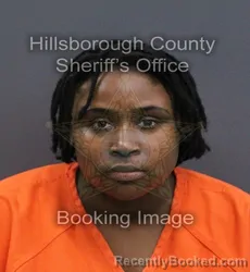 Mugshot of Annette Joyce Danner booked in Hillsborough County, Florida on August 30, 2026