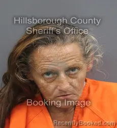 Mugshot of April Joy Anglin booked in Hillsborough County, Florida on August 31, 2026