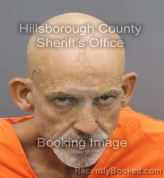 Mugshot of Thomas Matthew Suarez booked in Hillsborough County, Florida on August 31, 2026