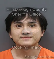 Mugshot of Peter Quang Pham booked in Hillsborough County, Florida on August 31, 2026