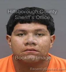 Mugshot of Chris Anthony Lopez Reyes booked in Hillsborough County, Florida on August 31, 2026