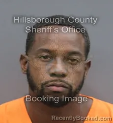 Mugshot of Vachell Desai Sims booked in Hillsborough County, Florida on August 31, 2026