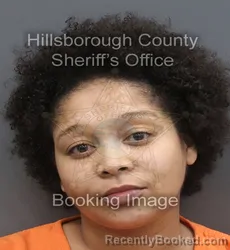 Mugshot of Erin Monique Robinson booked in Hillsborough County, Florida on August 31, 2026