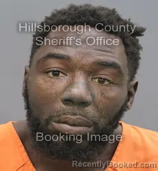 Mugshot of Artavais Devon Tindal booked in Hillsborough County, Florida on August 31, 2026
