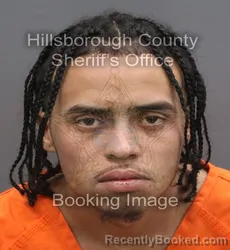 Mugshot of Migdoel Jr Pantojas booked in Hillsborough County, Florida on August 31, 2026