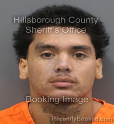 Mugshot of Sean Edward Phillip booked in Hillsborough County, Florida on August 31, 2026