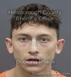Mugshot of Noah Mekhai Vaughn booked in Hillsborough County, Florida on August 31, 2026