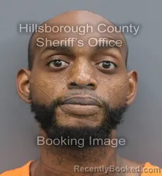 Mugshot of Demmar David Daniels booked in Hillsborough County, Florida on August 31, 2026