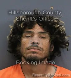 Mugshot of Kevin Oneill Garcia booked in Hillsborough County, Florida on August 31, 2026