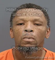Mugshot of Ronald Junior Jones booked in Hillsborough County, Florida on August 31, 2026