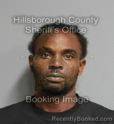 Mugshot of Keston Keita Gopaul booked in Hillsborough County, Florida on August 31, 2026