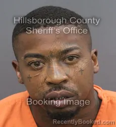 Mugshot of Alexander Aquestrian Pruitt booked in Hillsborough County, Florida on August 31, 2026