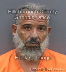 Mugshot of Shonbie Sharron Harris booked in Hillsborough County, Florida on August 31, 2026