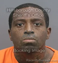 Mugshot of Thomas Bostick booked in Hillsborough County, Florida on August 31, 2026