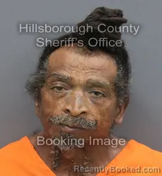 Mugshot of Tyrone Mayhem booked in Hillsborough County, Florida on August 31, 2026