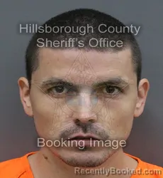 Mugshot of Christopher Figueroa Oyarzun booked in Hillsborough County, Florida on August 31, 2026