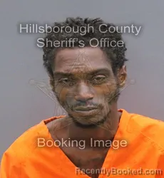 Mugshot of Lazaro Gabriel Hernandez booked in Hillsborough County, Florida on August 31, 2026