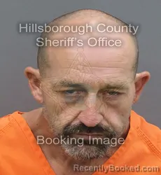 Mugshot of Chelsie Willis Martin booked in Hillsborough County, Florida on August 31, 2026