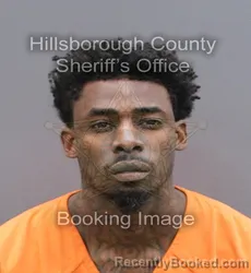 Mugshot of TYRONE D PERRY