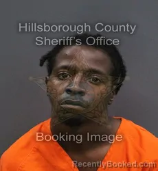 Mugshot of Donald Antonio Jr Washington booked in Hillsborough County, Florida on August 31, 2026