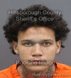 Mugshot of Tayvion Lajuan Robinson booked in Hillsborough County, Florida on August 31, 2026