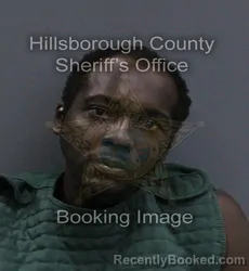 Mugshot of William Javon Matthews booked in Hillsborough County, Florida on August 31, 2026