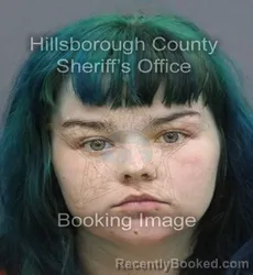 Mugshot of Lacey Jenell Piarrot booked in Hillsborough County, Florida on August 31, 2026