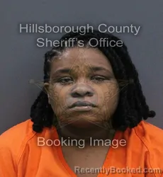 Mugshot of Asia Danae Hill-Matthews booked in Hillsborough County, Florida on August 31, 2026