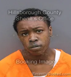 Mugshot of SANIA FAITH EMZIAH