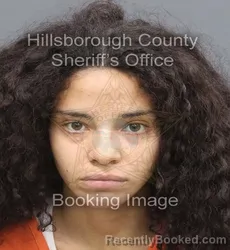 Mugshot of Andrea Victoria Santiago Borrero booked in Hillsborough County, Florida on September 1, 2026