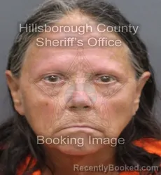 Mugshot of Carolyn Ann Pickeral booked in Hillsborough County, Florida on September 1, 2026