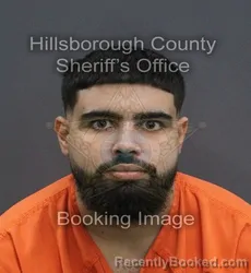 Mugshot of Zakareya Tarek Elsayed booked in Hillsborough County, Florida on September 1, 2026