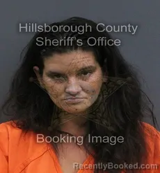 Mugshot of Celina Marie Butler booked in Hillsborough County, Florida on September 1, 2026