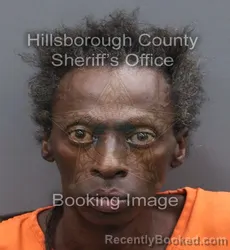 Mugshot of Anthony Jerome Scrivens booked in Hillsborough County, Florida on September 1, 2026