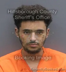 Mugshot of Samy Ahmad Amar booked in Hillsborough County, Florida on September 1, 2026