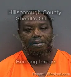 Mugshot of Zedekiah Mchenry booked in Hillsborough County, Florida on September 1, 2026