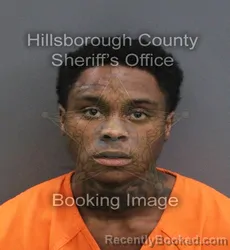 Mugshot of Carlos Demetrius Jr Goodman booked in Hillsborough County, Florida on September 1, 2026