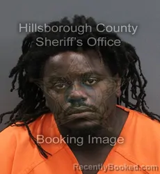 Mugshot of Woodly Moimeme booked in Hillsborough County, Florida on September 1, 2026