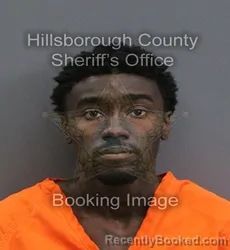Mugshot of Ronald Reeche Jr Stokes booked in Hillsborough County, Florida on September 1, 2026