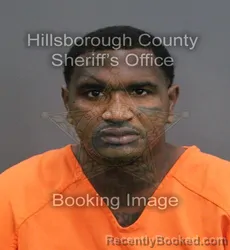 Mugshot of Robert Pringle booked in Hillsborough County, Florida on September 1, 2026