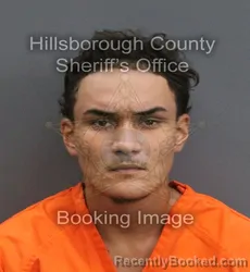 Mugshot of Gregg Anthony Jr Biascochea booked in Hillsborough County, Florida on September 1, 2026