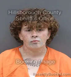 Mugshot of JAYDE VERONIKA MARTELLI