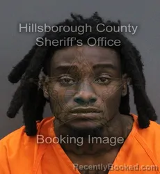 Mugshot of David Lawrence Charlot booked in Hillsborough County, Florida on September 1, 2026