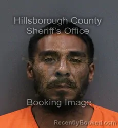Mugshot of Steve Jr Garcia booked in Hillsborough County, Florida on September 2, 2026