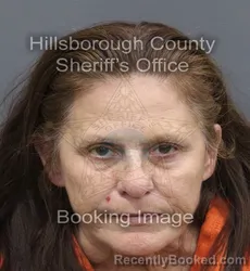 Mugshot of Sheree Annette Guastella booked in Hillsborough County, Florida on September 2, 2026