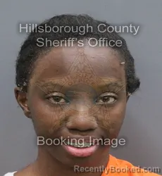 Mugshot of Terriana Sade Brown booked in Hillsborough County, Florida on September 2, 2026